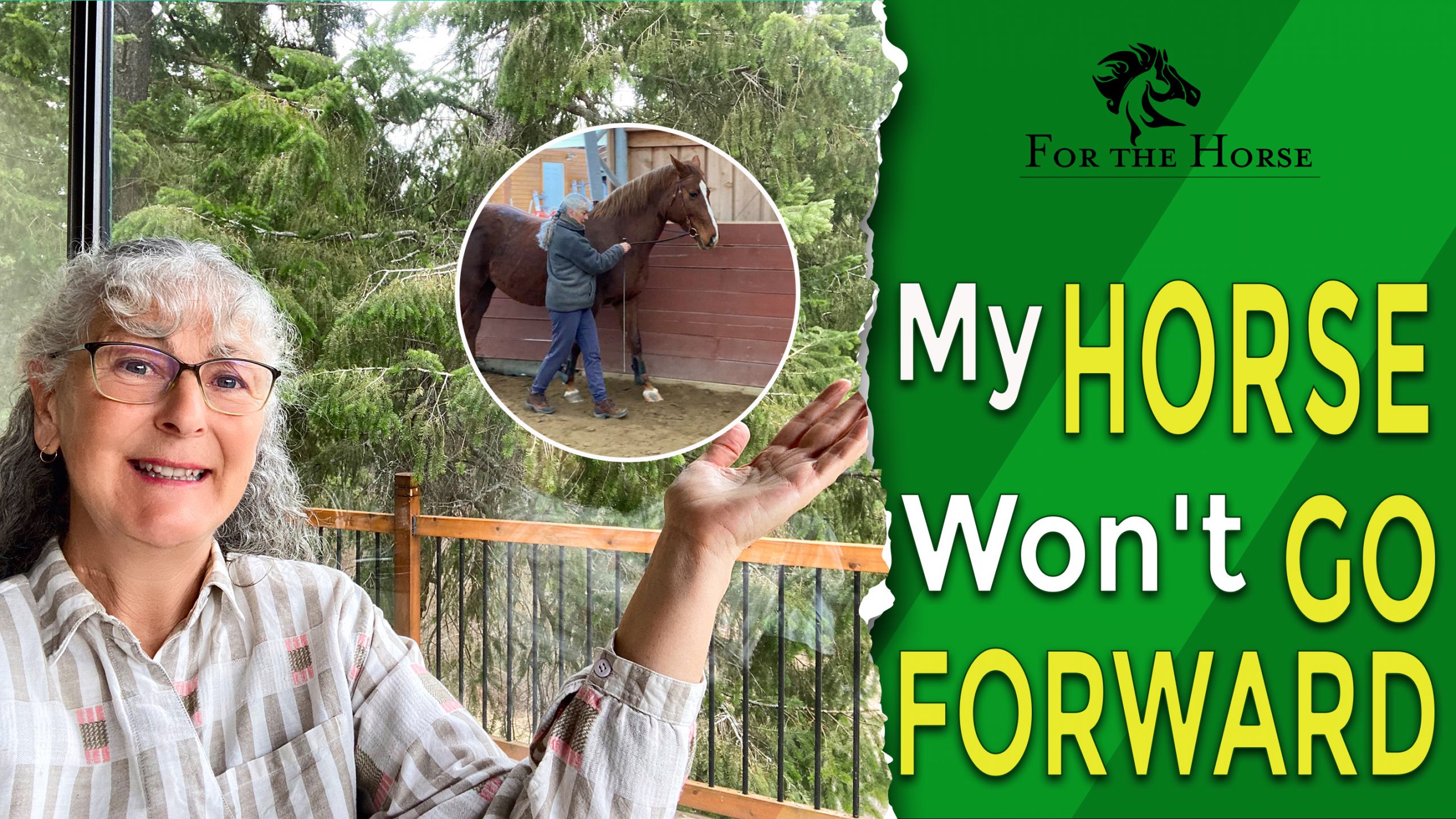 Why Won’t My Horse Go Forward? ForTheHorse
