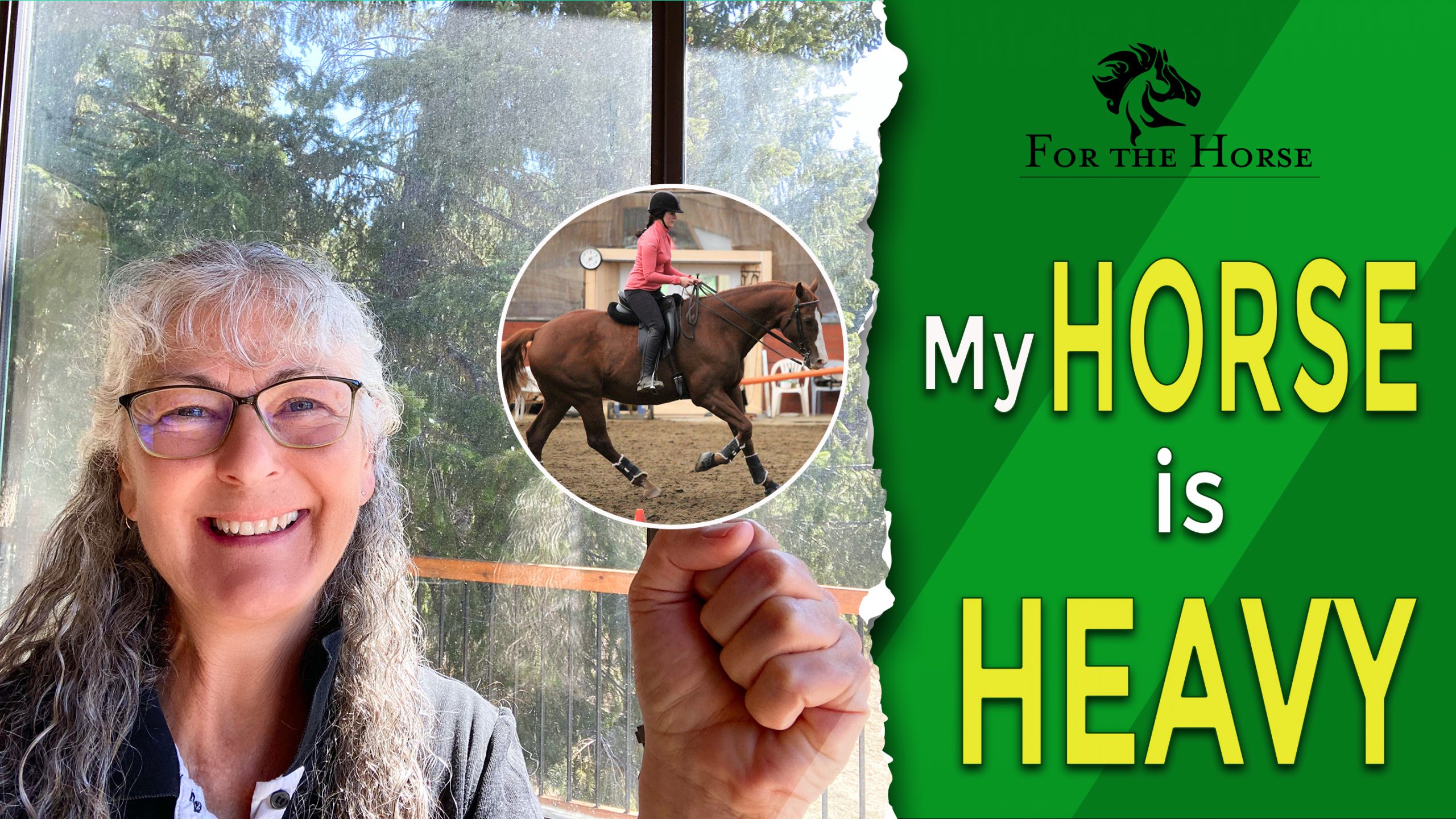 Why Is My Horse So Heavy ForTheHorse